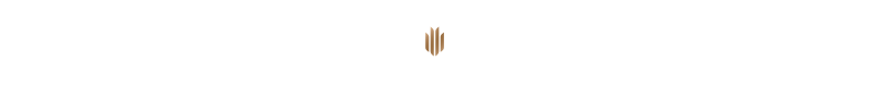 Renox Group